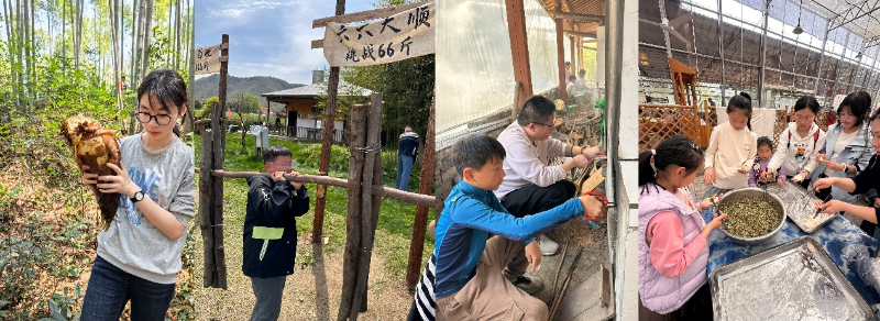 善德宸信 2026 春季亲子之旅05